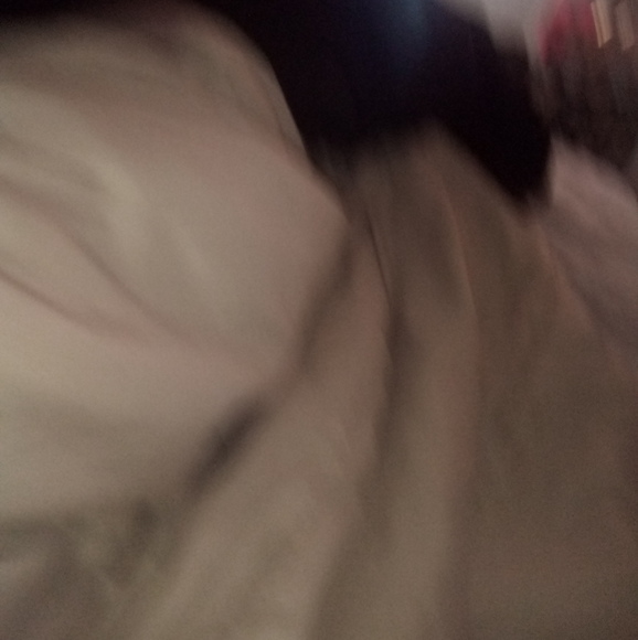 Meet your Posher, Nessa - Picture 1 of 1